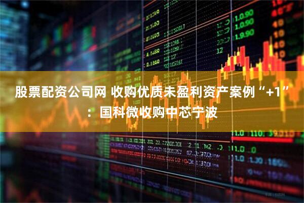 股票配资公司网 收购优质未盈利资产案例“+1”：国科微收购中芯宁波
