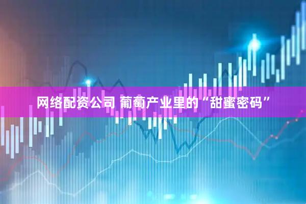 网络配资公司 葡萄产业里的“甜蜜密码”