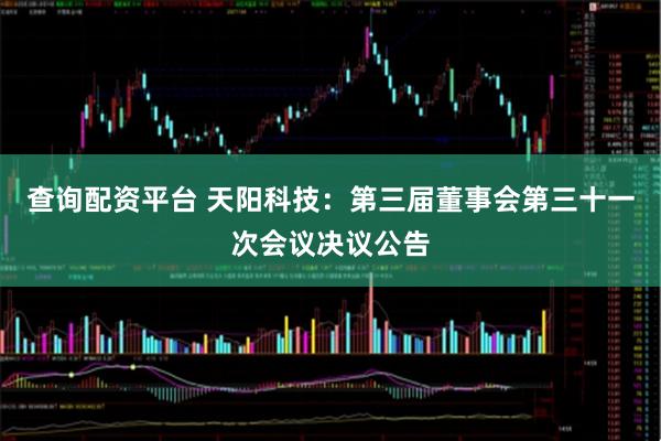 查询配资平台 天阳科技：第三届董事会第三十一次会议决议公告