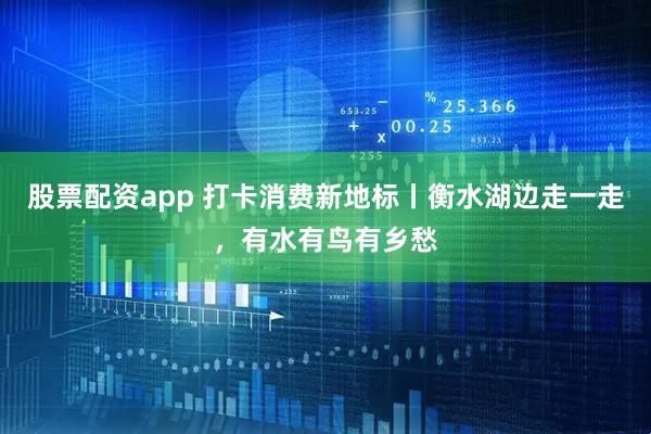 股票配资app 打卡消费新地标丨衡水湖边走一走，有水有鸟有乡愁